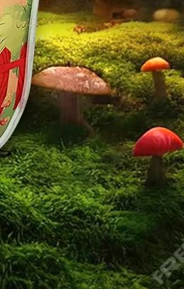 Çocuk Çadırları Bebek Oyun Ala - Kids Outdoor Hut incelemesi ve fiyatı